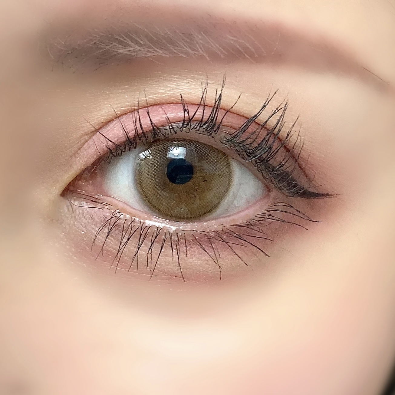 パーフェクトマルチアイズ/キャンメイク/アイシャドウパレットを使ったクチコミ（2枚目）