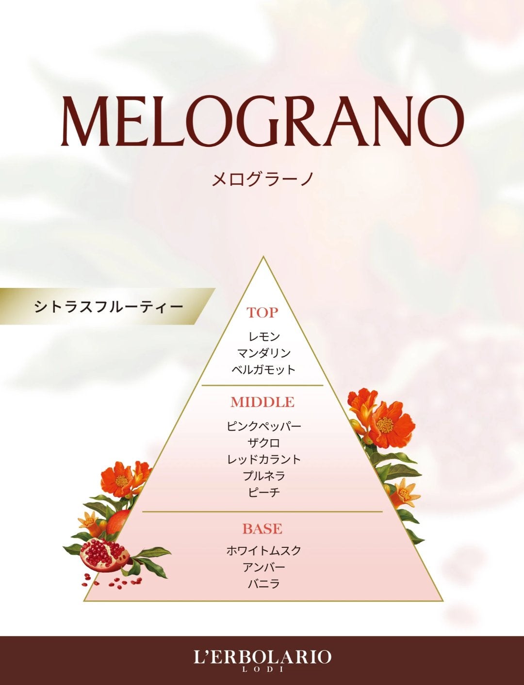 メログラーノ ビューティーボックス/L'ERBOLARIO/その他キットセットを使ったクチコミ(3枚目)