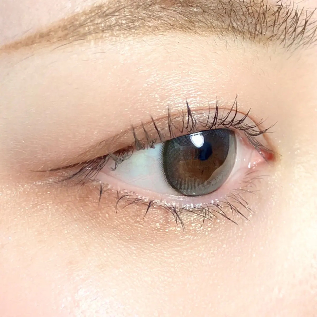 麻雀アイシャドウ/和粧/単色アイシャドウを使ったクチコミ（2枚目）