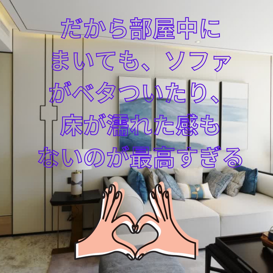 クリーンミスト/消臭力/その他を使ったクチコミ（3枚目）