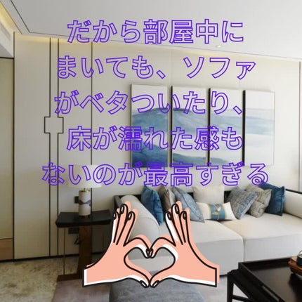 クリーンミスト/消臭力/その他を使ったクチコミ(3枚目)