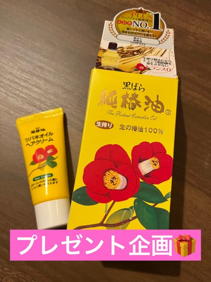 ツバキオイルヘアクリーム/黒ばら純椿油/ヘアワックス・クリームを使ったクチコミ(1枚目)