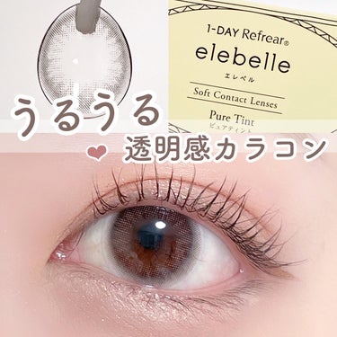 Refrear  １DAY Refrear elebelleのクチコミ「.
■elebelle ピュアティント
 
DIA: 14.2mm 着色直径: 13.4mm
.....」（1枚目）