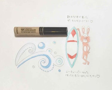 カバーパーフェクション チップコンシーラー/the SAEM/リキッドコンシーラーを使ったクチコミ（1枚目）