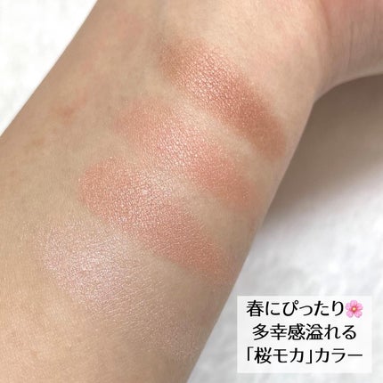 デザイニングブラウンアイズ/KATE/アイシャドウパレットを使ったクチコミ(3枚目)