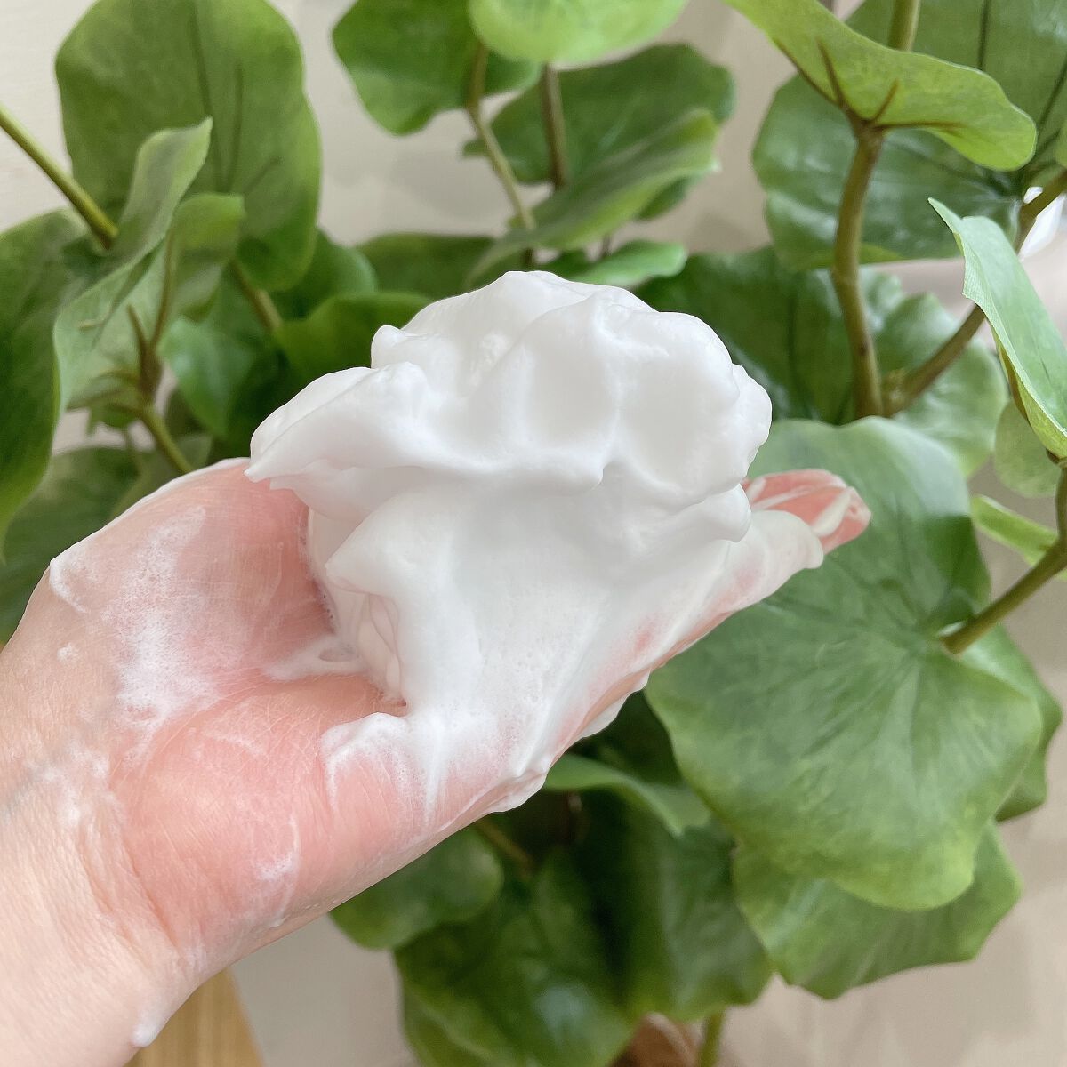 二十年ほいっぷ/北の快適工房/洗顔フォームを使ったクチコミ（2枚目）