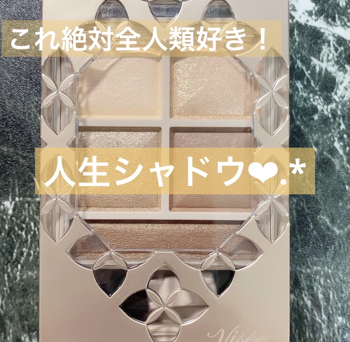 パノラマデザイン アイパレット BR-1 ベージュブラウン/Visée/アイシャドウパレットを使ったクチコミ（1枚目）