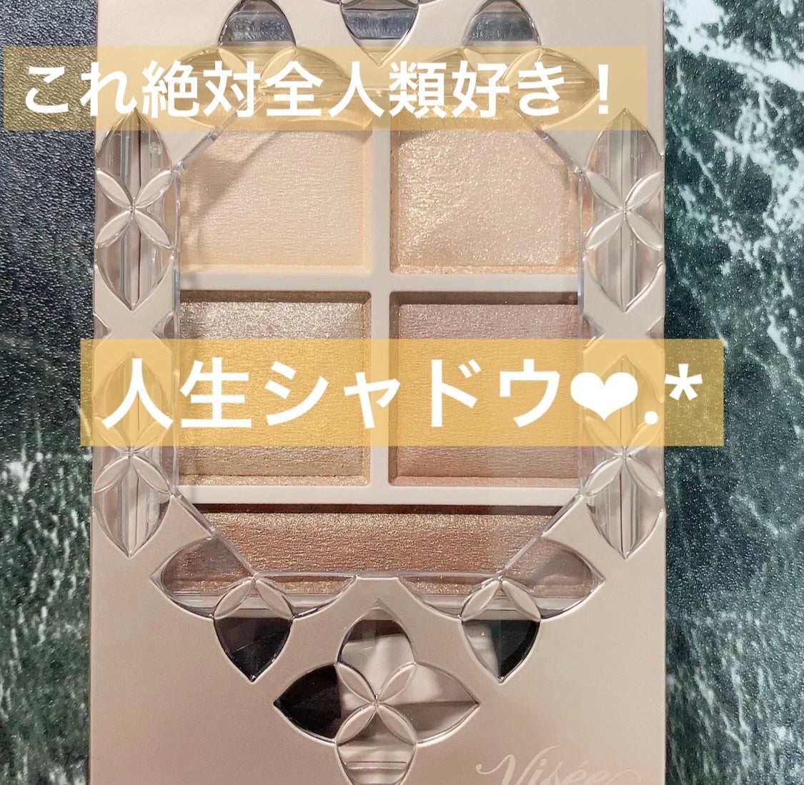 パノラマデザイン アイパレット/Visée/アイシャドウパレットを使ったクチコミ(1枚目)