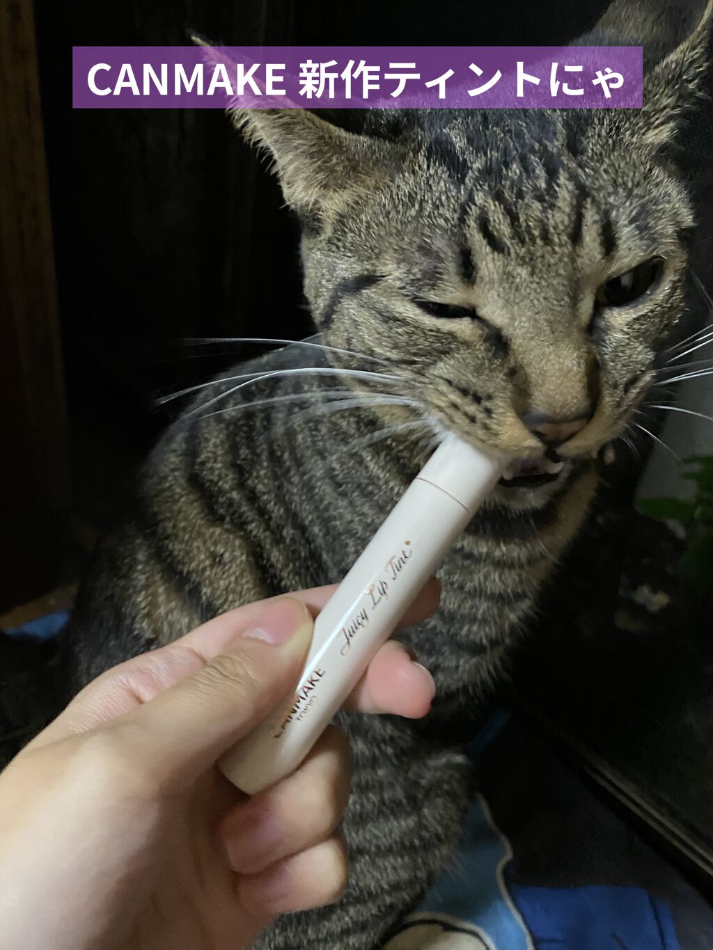 ジューシーリップティント/キャンメイク/口紅を使ったクチコミ（1枚目）