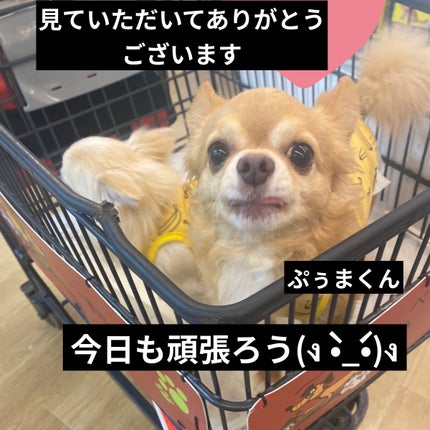 シルクアイスパウダー/b idol/ルースパウダーを使ったクチコミ(10枚目)