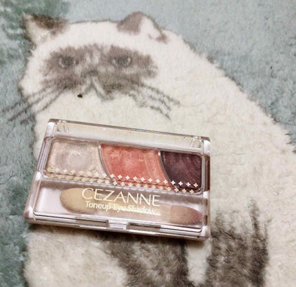 トーンアップアイシャドウ/CEZANNE/アイシャドウパレットを使ったクチコミ(1枚目)