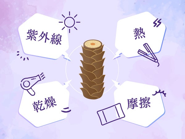【&honey】カラーケアシリーズ初登場!染めたてのきれいが続く秘訣は?の画像