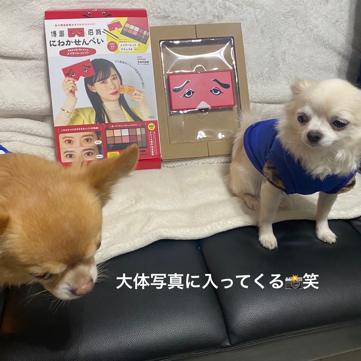 ぷぅぴぃ《紫コス部💜💗》 on LIPS 「にわかせんぺいアイカラー&アイブロウパレット⭐️2022年12..」(8枚目)