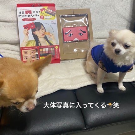 ぷぅぴぃ《紫コス部💜💗》 on LIPS 「にわかせんぺいアイカラー&アイブロウパレット⭐️2022年12..」(8枚目)