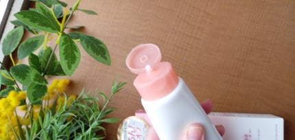 を使ったクチコミ(2枚目)