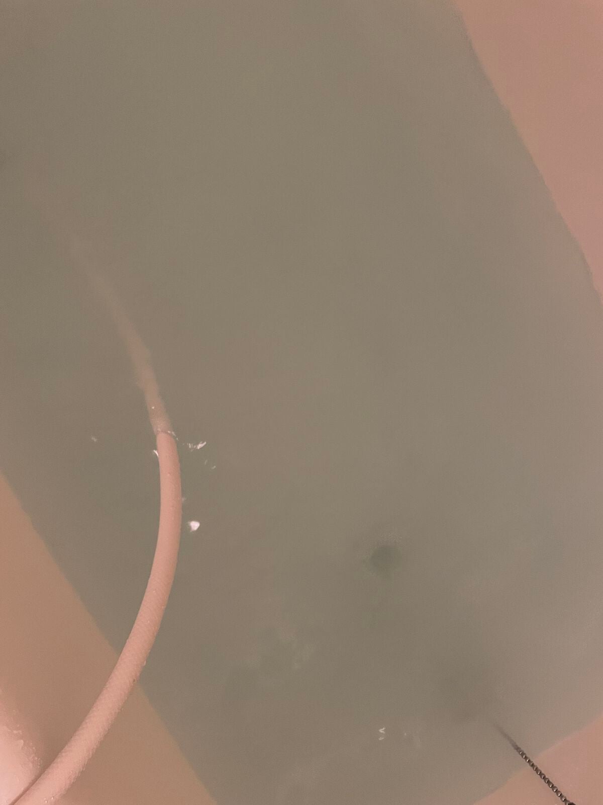 リファ ファインバブルS/ReFa/シャワーヘッドを使ったクチコミ(4枚目)