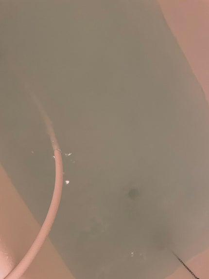 リファ ファインバブルS/ReFa/シャワーヘッドを使ったクチコミ(4枚目)