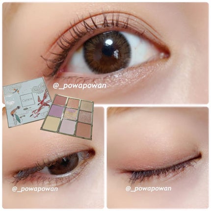 浮生大梦 9色アイシャドウパレット/CATKIN/アイシャドウパレットを使ったクチコミ(1枚目)