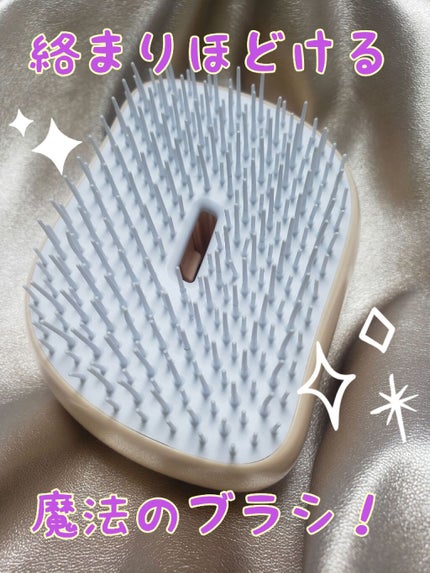 コンパクトスタイラー/TANGLE TEEZER/ヘアブラシを使ったクチコミ(2枚目)