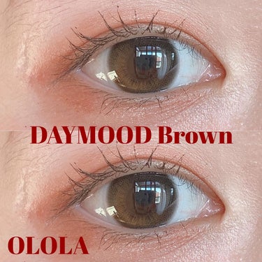 デームードブラウンマンスリー (DAYMOOD BROWN monthly)/OLOLA/１ヶ月（１MONTH）カラコンを使ったクチコミ（1枚目）