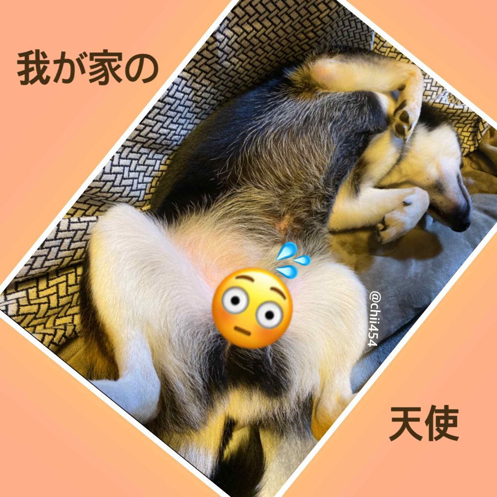 カラフルネイルズ/キャンメイク/マニキュアを使ったクチコミ(3枚目)