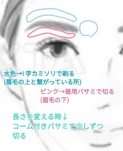 ピアニィ まゆ用 3本入り/ピアニィ/シェーバーを使ったクチコミ(4枚目)