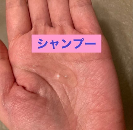 オイルインシャンプー/オイルインコンディショナー (グロス&リペア)/ディアボーテ/市販シャンプーを使ったクチコミ(2枚目)
