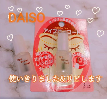 エバビレーナ アイブローコート/DAISO/アイブロウコートを使ったクチコミ（1枚目）