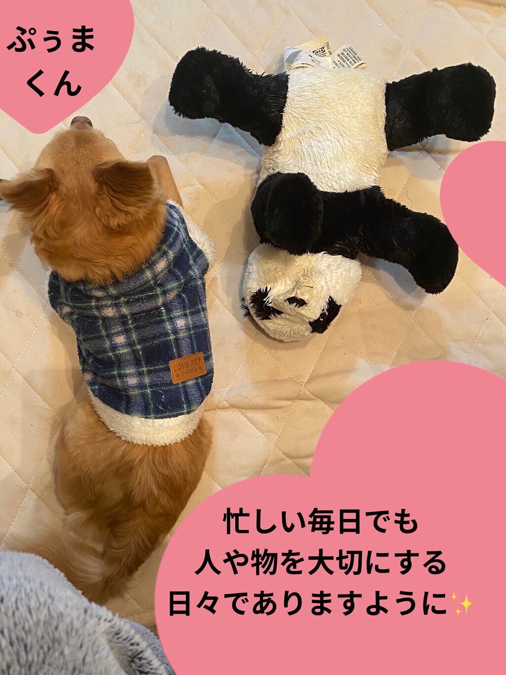 ソレイユ アイ カラー クォード/TOM FORD BEAUTY/アイシャドウパレットを使ったクチコミ(9枚目)