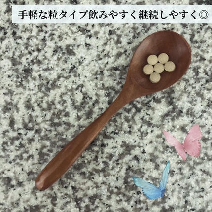 食べてもDiet/井藤漢方製薬/ボディサプリメントを使ったクチコミ(2枚目)