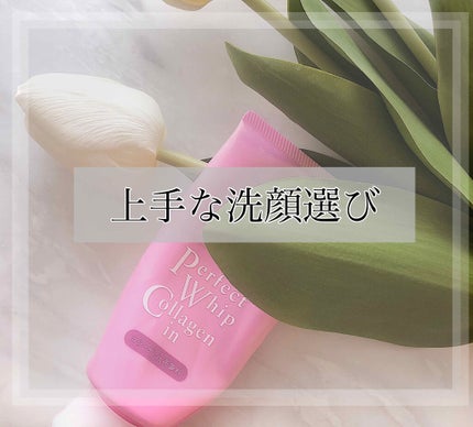 パーフェクトホイップ コラーゲンin/SENKA(専科)/洗顔フォームを使ったクチコミ(1枚目)