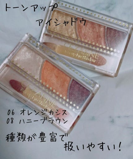 トーンアップアイシャドウ/CEZANNE/アイシャドウパレットを使ったクチコミ(3枚目)