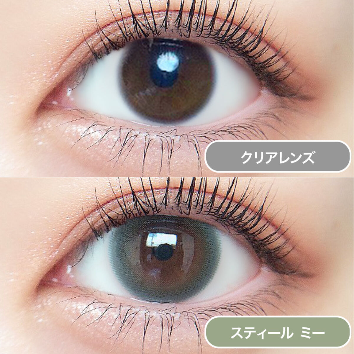 ルイ バイ カラーマジョリティー  スティールミー