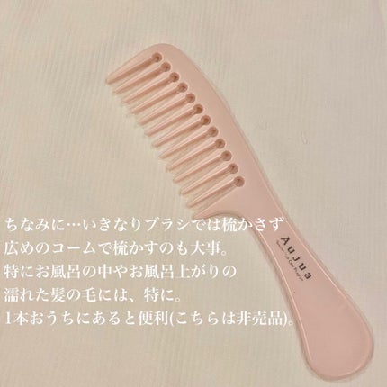 Brosse à cheveux pneumatique, 100% sanglier - Grand modèle/Altesse/ヘアブラシを使ったクチコミ(6枚目)