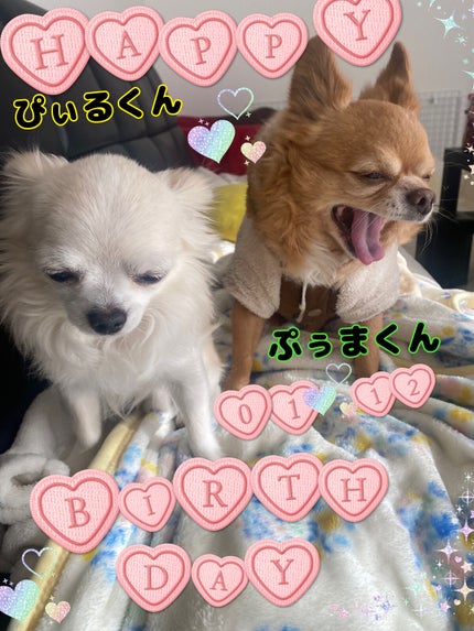 カラフルネイルズ/キャンメイク/マニキュアを使ったクチコミ(6枚目)