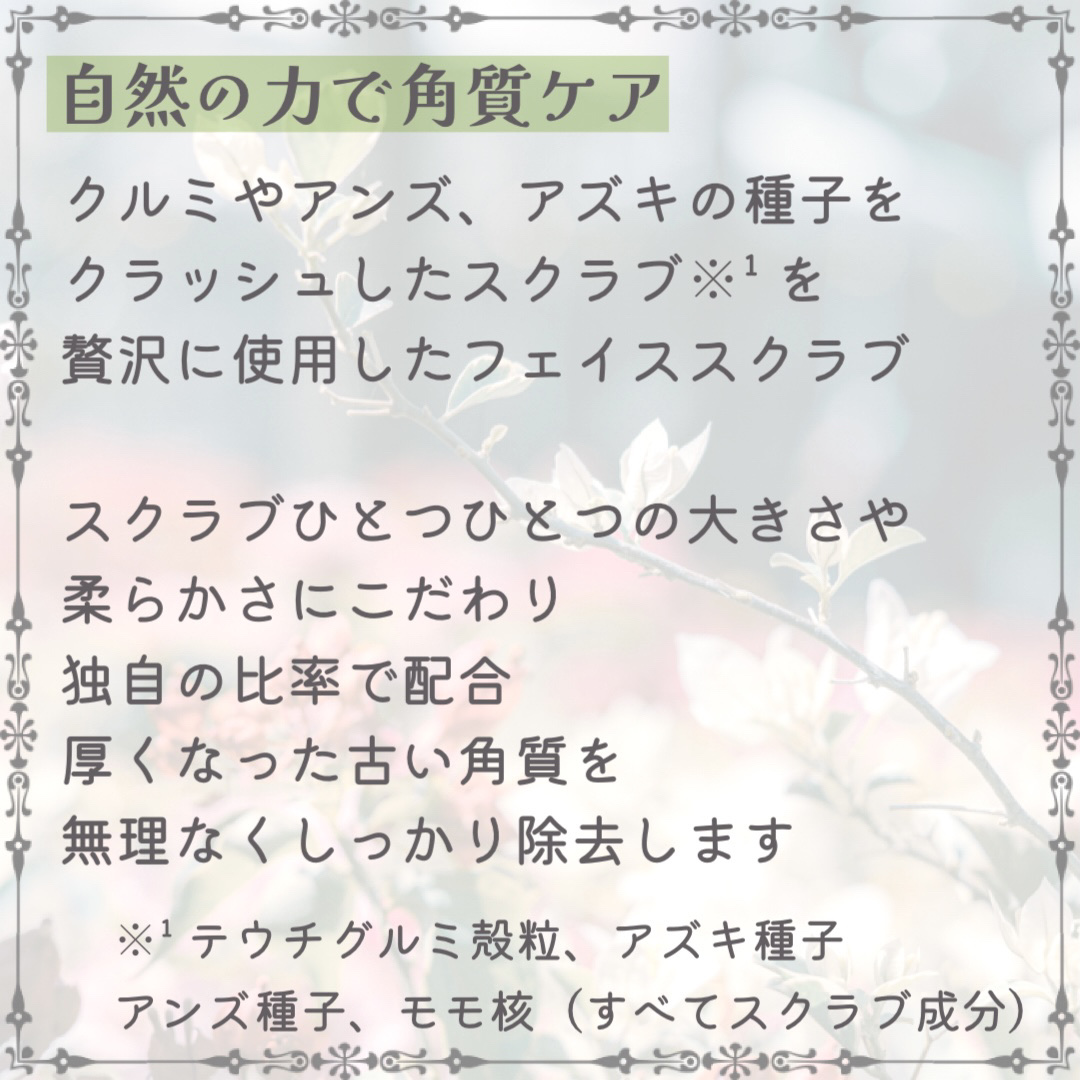 フェイススクラブ ブラッシャー VG/アーレス/スクラブ・ゴマージュを使ったクチコミ（3枚目）