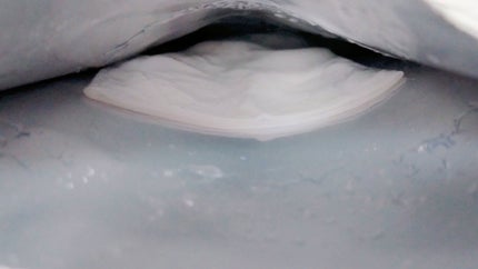 トリデン ダイブインマスクパック/Torriden/シートマスク・パックを使ったクチコミ(3枚目)