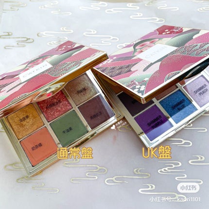 長相思シリーズ 9色アイシャドウパレット/CATKIN/アイシャドウパレットを使ったクチコミ(6枚目)