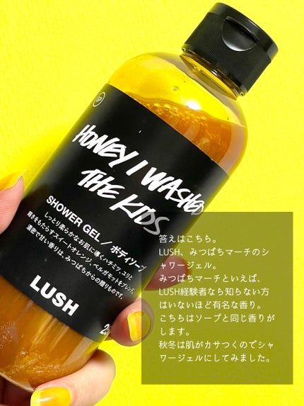 LUSH ラッシュ みつばちマーチ シャワージェル 2本 みつばちマーチ シャワージェル SP 250g / ラッシュ(LUSH) | LIPS
