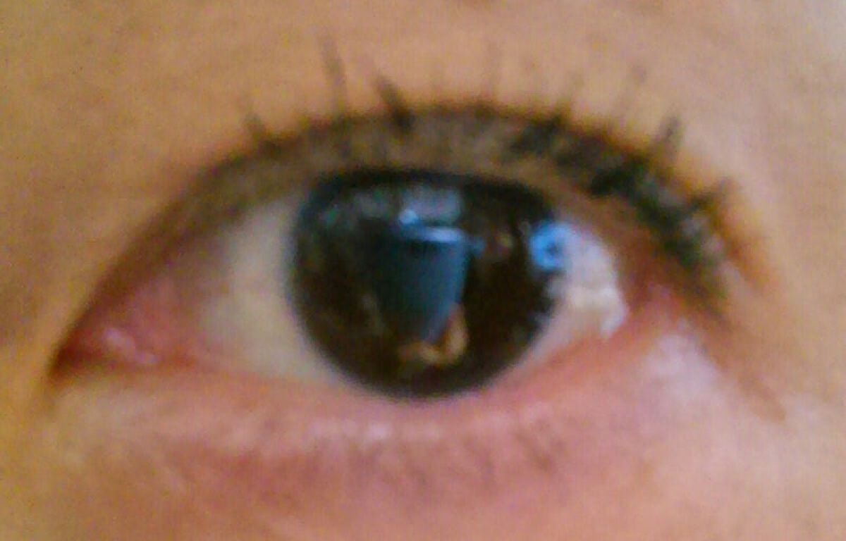 クイックラッシュカーラー/キャンメイク/マスカラ下地を使ったクチコミ（2枚目）