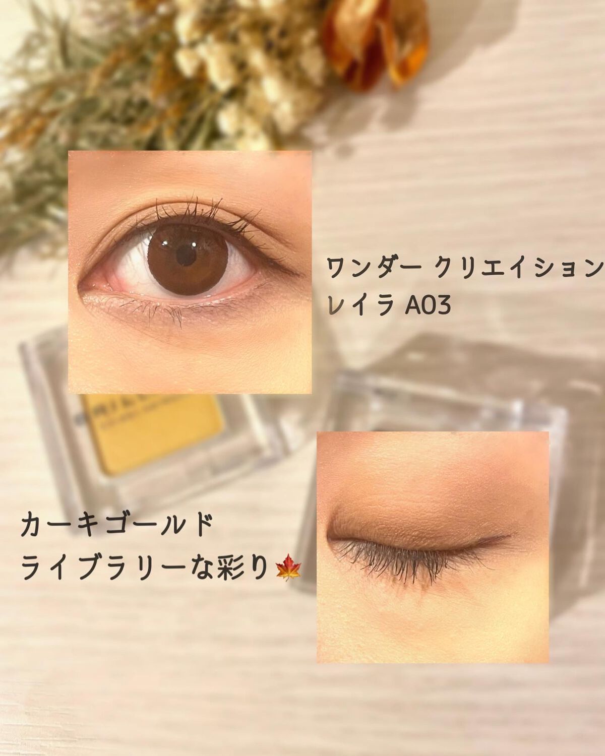 ワンダークリエイション /ブリリアージュ/単色アイシャドウを使ったクチコミ（2枚目）