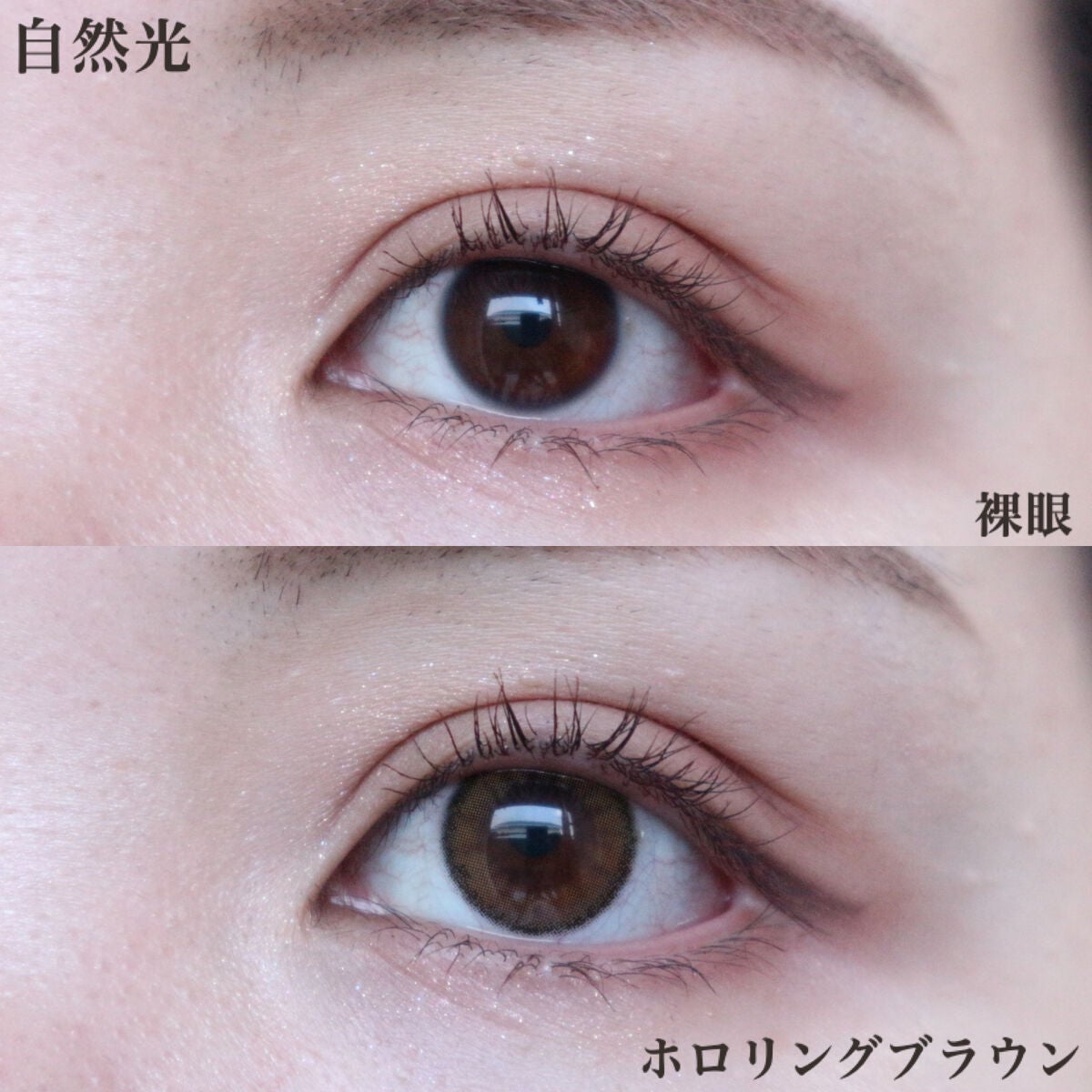 ホロリングブラウン/LENSME/カラーコンタクトレンズを使ったクチコミ(5枚目)