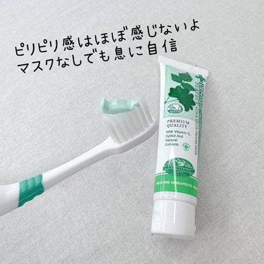 デンティス デンティス トラベルセットのクチコミ「愛用ハミガキのDENTISTEから
トラベルセット出たよ〜😆

ちょうど持ち歩き用の買い替えよ.....」（3枚目）