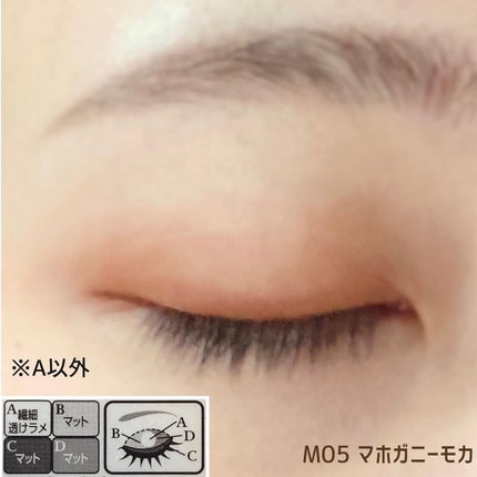 シルキースフレアイズ(マットタイプ)/キャンメイク/アイシャドウパレットを使ったクチコミ(7枚目)