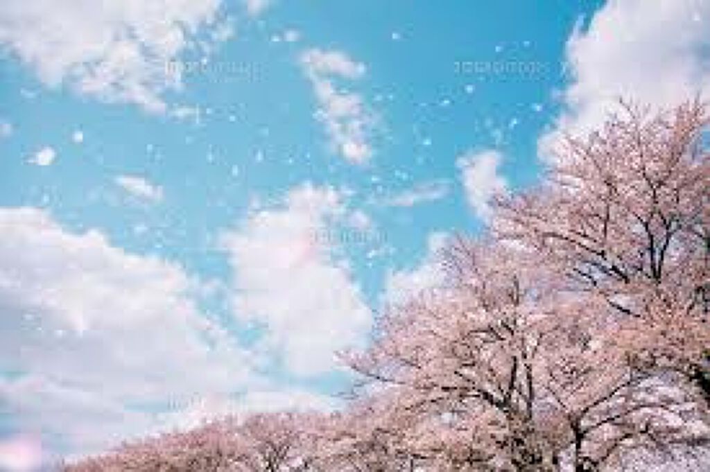 ラスティンググロスリップ/CEZANNE/口紅を使ったクチコミ(1枚目)