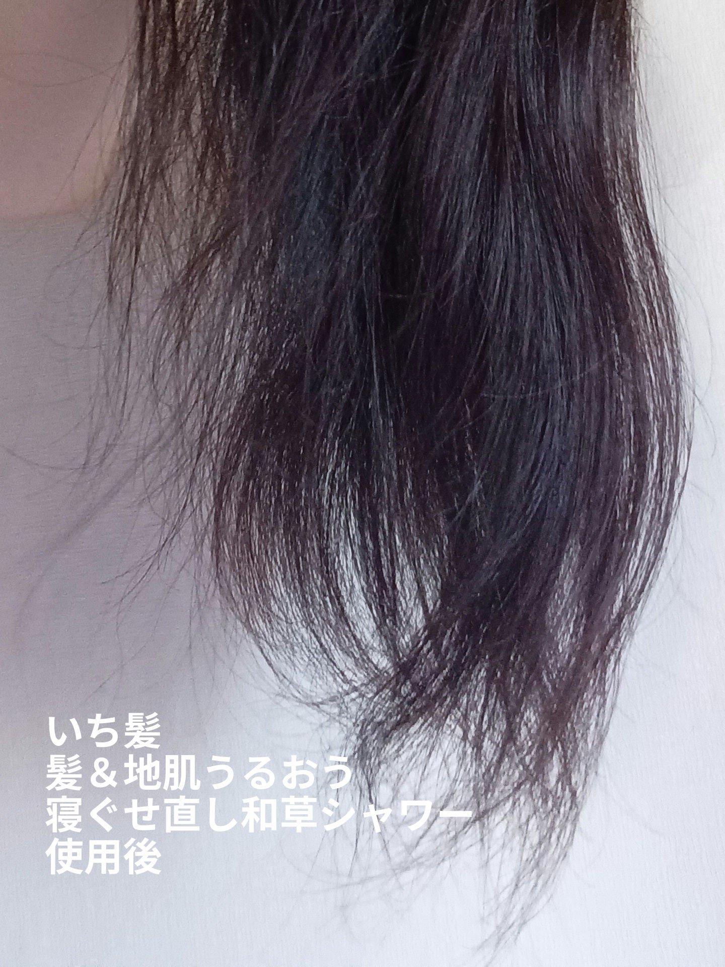 コンパクトスタイラー/TANGLE TEEZER/ヘアブラシを使ったクチコミ（3枚目）