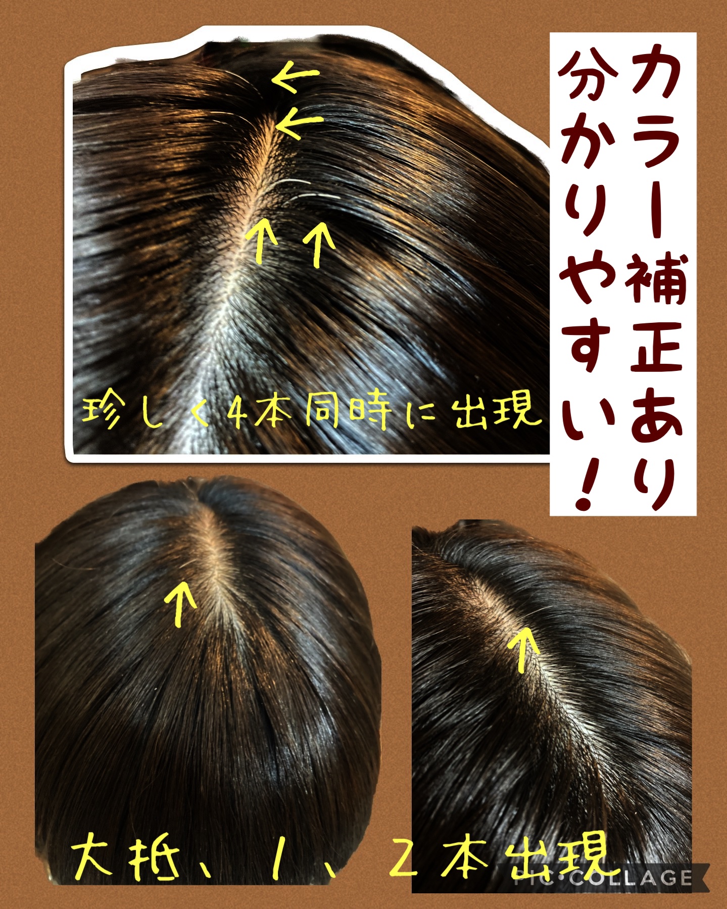 送料無料SALE】 綺和美 白髪染め ヘアカラートリートメントトメント 2