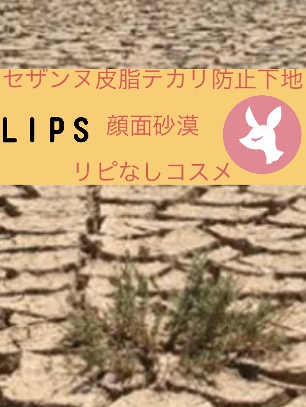 皮脂テカリ防止下地/CEZANNE/化粧下地を使ったクチコミ（1枚目）