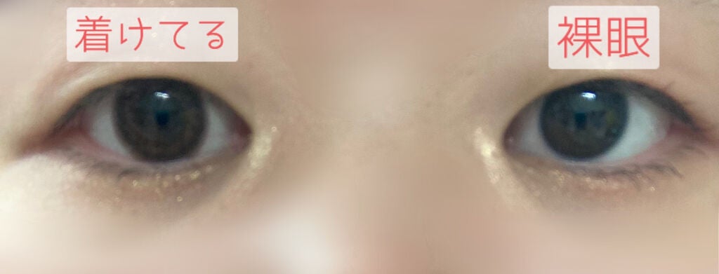 エバーカラーワンデー ナチュラル/エバーカラー/ワンデー(1DAY)カラコンを使ったクチコミ(3枚目)
