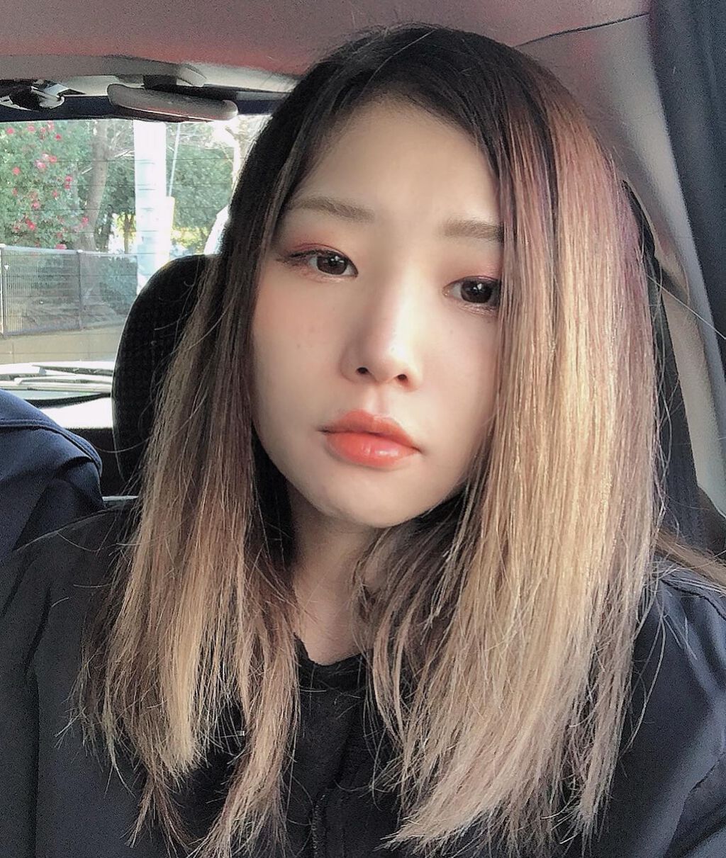 プロコレクション36カラー/Dolly Angel/アイシャドウパレットを使ったクチコミ（1枚目）